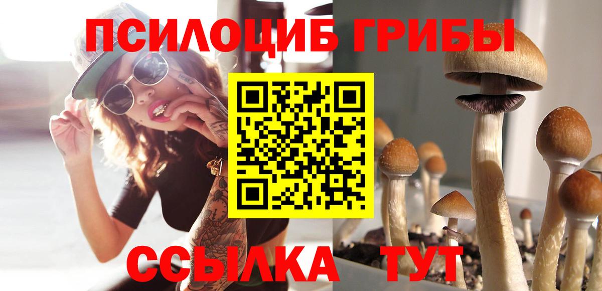 Галлюциногенные грибы ЛСД Старый Оскол