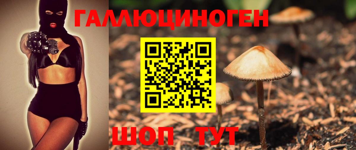 Галлюциногенные грибы Psilocybine cubensis  Псилоцибиновые грибы прущие грибы  Вход с VPN  Старый Оскол 